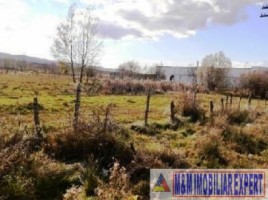 teren-intravilan-de-vanzare-15-ha-pe-calea-pietroasa-campulung-muscel-arges-2