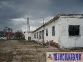 hale-de-productie-4209-mp-si-teren-de-2-ha-de-vanzare-in-boteni-arges-1