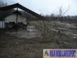 hale-de-productie-4209-mp-si-teren-de-2-ha-de-vanzare-in-boteni-arges-4