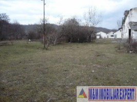 hale-de-productie-4209-mp-si-teren-de-2-ha-de-vanzare-in-boteni-arges-6