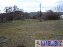 hale-de-productie-4209-mp-si-teren-de-2-ha-de-vanzare-in-boteni-arges-8