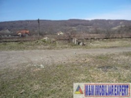 vand-hale-de-productie-cu-teren-de-24-ha-mihaesti-arges-5