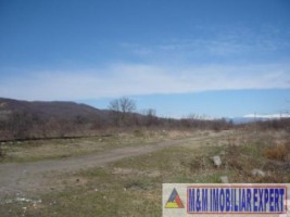 vand-hale-de-productie-cu-teren-de-24-ha-mihaesti-arges-6
