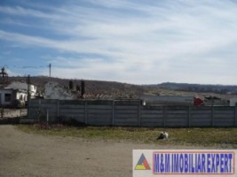 vand-hale-de-productie-cu-teren-de-24-ha-mihaesti-arges-11