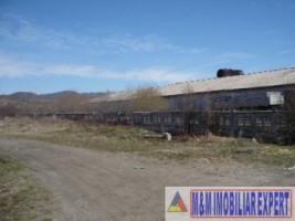 vand-hale-de-productie-cu-teren-de-24-ha-mihaesti-arges-8