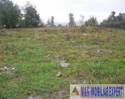 teren-intravilan-de-vanzare-3420-mp-in-grui-campulung-muscel-arges-2
