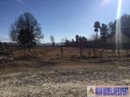 teren-intravilan-de-vanzare-3420-mp-in-grui-campulung-muscel-arges-5