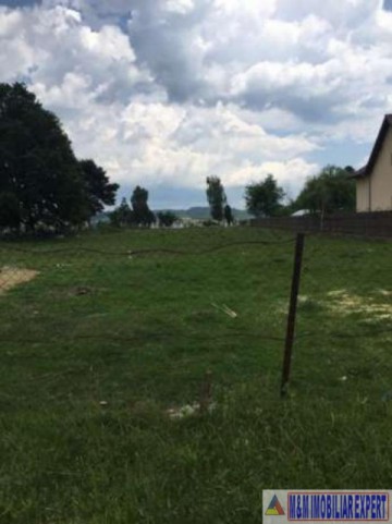 teren-intravilan-de-vanzare-3420-mp-in-grui-campulung-muscel-arges-7