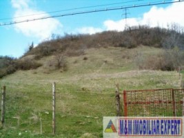 teren-intravilan-de-vanzare-12-ha-in-valea-romanestilor-campulung-muscel-arges-1