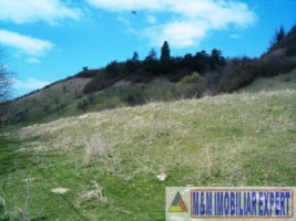 teren-intravilan-de-vanzare-12-ha-in-valea-romanestilor-campulung-muscel-arges-3