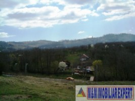 teren-intravilan-de-vanzare-12-ha-in-valea-romanestilor-campulung-muscel-arges-5