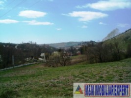 teren-intravilan-de-vanzare-12-ha-in-valea-romanestilor-campulung-muscel-arges-7