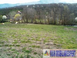 teren-intravilan-de-vanzare-12-ha-in-valea-romanestilor-campulung-muscel-arges-11