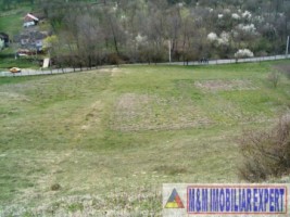 teren-intravilan-de-vanzare-12-ha-in-valea-romanestilor-campulung-muscel-arges-12