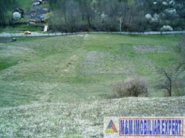 teren-intravilan-de-vanzare-12-ha-in-valea-romanestilor-campulung-muscel-arges-13
