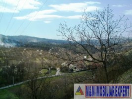 teren-intravilan-de-vanzare-12-ha-in-valea-romanestilor-campulung-muscel-arges-14
