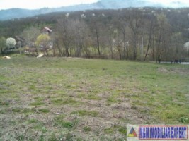teren-intravilan-de-vanzare-12-ha-in-valea-romanestilor-campulung-muscel-arges-15