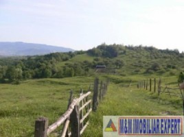 teren-de-vanzare-1-ha-extravilan-pasune-in-calea-targovistei-campulung-muscel-arges