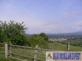 teren-de-vanzare-1-ha-extravilan-pasune-in-calea-targovistei-campulung-muscel-arges-1