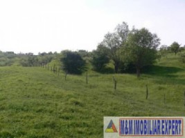 teren-de-vanzare-1-ha-extravilan-pasune-in-calea-targovistei-campulung-muscel-arges-2