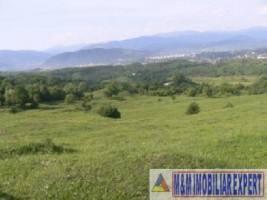teren-de-vanzare-1-ha-extravilan-pasune-in-calea-targovistei-campulung-muscel-arges-4