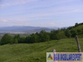 teren-de-vanzare-1-ha-extravilan-pasune-in-calea-targovistei-campulung-muscel-arges-5