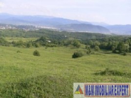 teren-de-vanzare-1-ha-extravilan-pasune-in-calea-targovistei-campulung-muscel-arges-6