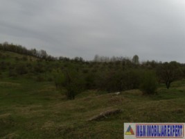 teren-de-vanzare-1-ha-extravilan-pasune-in-calea-targovistei-campulung-muscel-arges-9