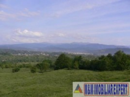 teren-de-vanzare-1-ha-extravilan-pasune-in-calea-targovistei-campulung-muscel-arges-7