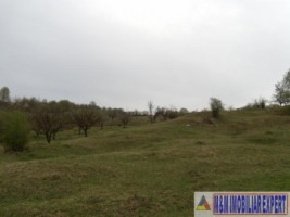 teren-de-vanzare-1-ha-extravilan-pasune-in-calea-targovistei-campulung-muscel-arges-8