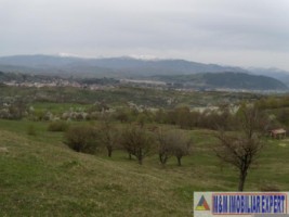 teren-de-vanzare-1-ha-extravilan-pasune-in-calea-targovistei-campulung-muscel-arges-10