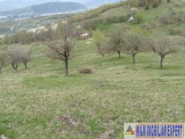 teren-de-vanzare-1-ha-extravilan-pasune-in-calea-targovistei-campulung-muscel-arges-11