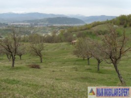 teren-de-vanzare-1-ha-extravilan-pasune-in-calea-targovistei-campulung-muscel-arges-12