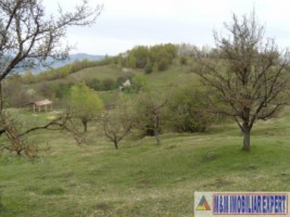 teren-de-vanzare-1-ha-extravilan-pasune-in-calea-targovistei-campulung-muscel-arges-14