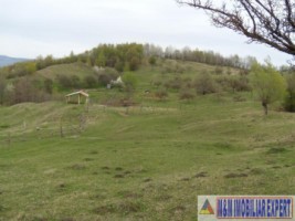 teren-de-vanzare-1-ha-extravilan-pasune-in-calea-targovistei-campulung-muscel-arges-15