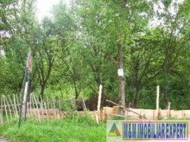 teren-intravilan-de-vanzare-2136-mp-pe-calea-targovistei-campulung-muscel-arges