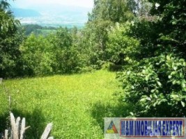 teren-intravilan-de-vanzare-2136-mp-pe-calea-targovistei-campulung-muscel-arges-4