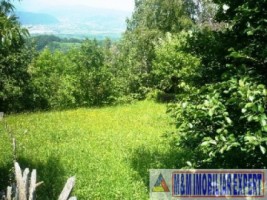 teren-intravilan-de-vanzare-2136-mp-pe-calea-targovistei-campulung-muscel-arges-6