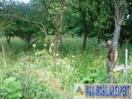 teren-intravilan-de-vanzare-2136-mp-pe-calea-targovistei-campulung-muscel-arges-7