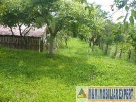 teren-intravilan-3710-mp-de-vanzare-pe-calea-targovistei-in-campulung-muscel-arges-1