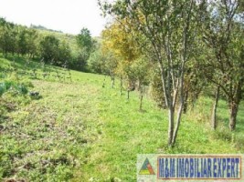 teren-intravilan-3710-mp-de-vanzare-pe-calea-targovistei-in-campulung-muscel-arges-3