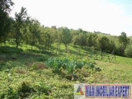 teren-intravilan-3710-mp-de-vanzare-pe-calea-targovistei-in-campulung-muscel-arges-4