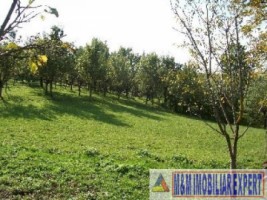 teren-intravilan-3710-mp-de-vanzare-pe-calea-targovistei-in-campulung-muscel-arges-6