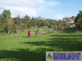 teren-intravilan-3710-mp-de-vanzare-pe-calea-targovistei-in-campulung-muscel-arges-7