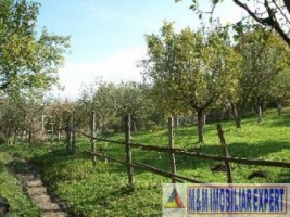 teren-intravilan-3710-mp-de-vanzare-pe-calea-targovistei-in-campulung-muscel-arges-9