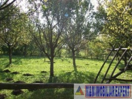 teren-intravilan-3710-mp-de-vanzare-pe-calea-targovistei-in-campulung-muscel-arges-8