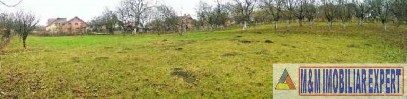 teren-intravilan-3710-mp-de-vanzare-pe-calea-targovistei-in-campulung-muscel-arges-13