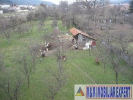 teren-5000-mp-intravilan-campulung-muscel-centru-arges-7