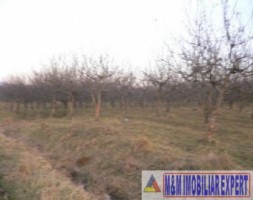 de-vanzare-teren-intravilan-3500-mp-cretidoara-campulung-muscel-arges