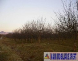 de-vanzare-teren-intravilan-3500-mp-cretidoara-campulung-muscel-arges-1